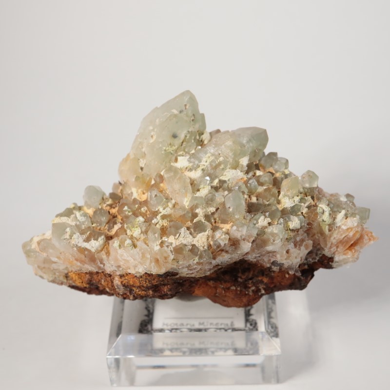 2_000000007520.jpg?1716375151