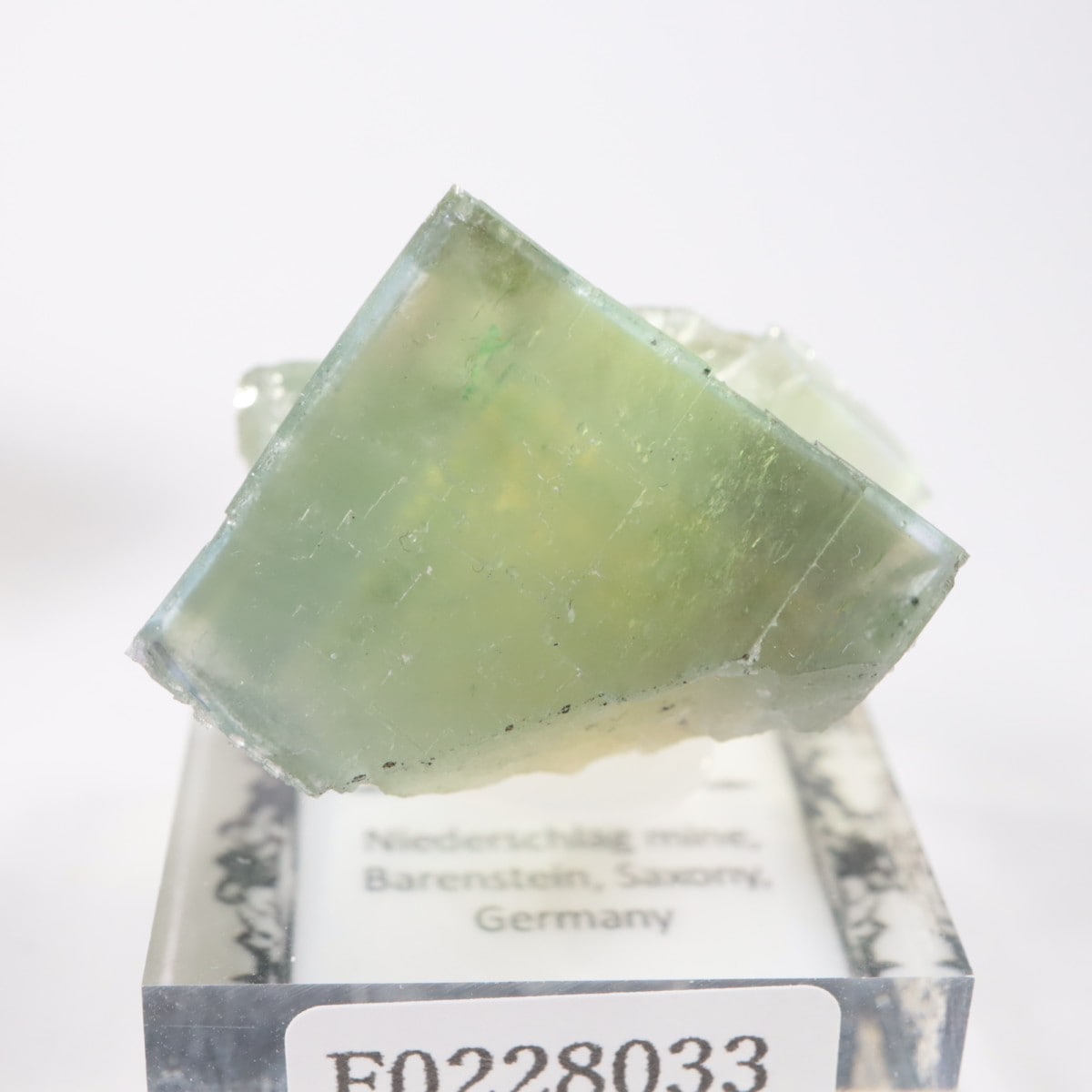 6_000000009338.jpg?1740742434