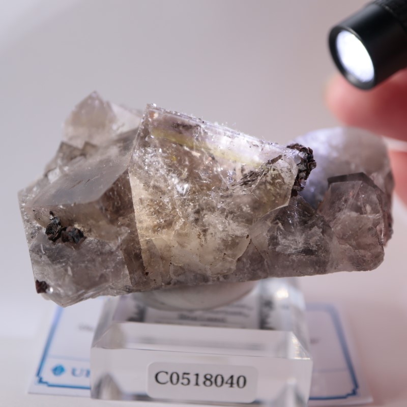 Sherry Twins Pocket産 フローライト（蛍石） | 鉱物標本,ハ行,フロー