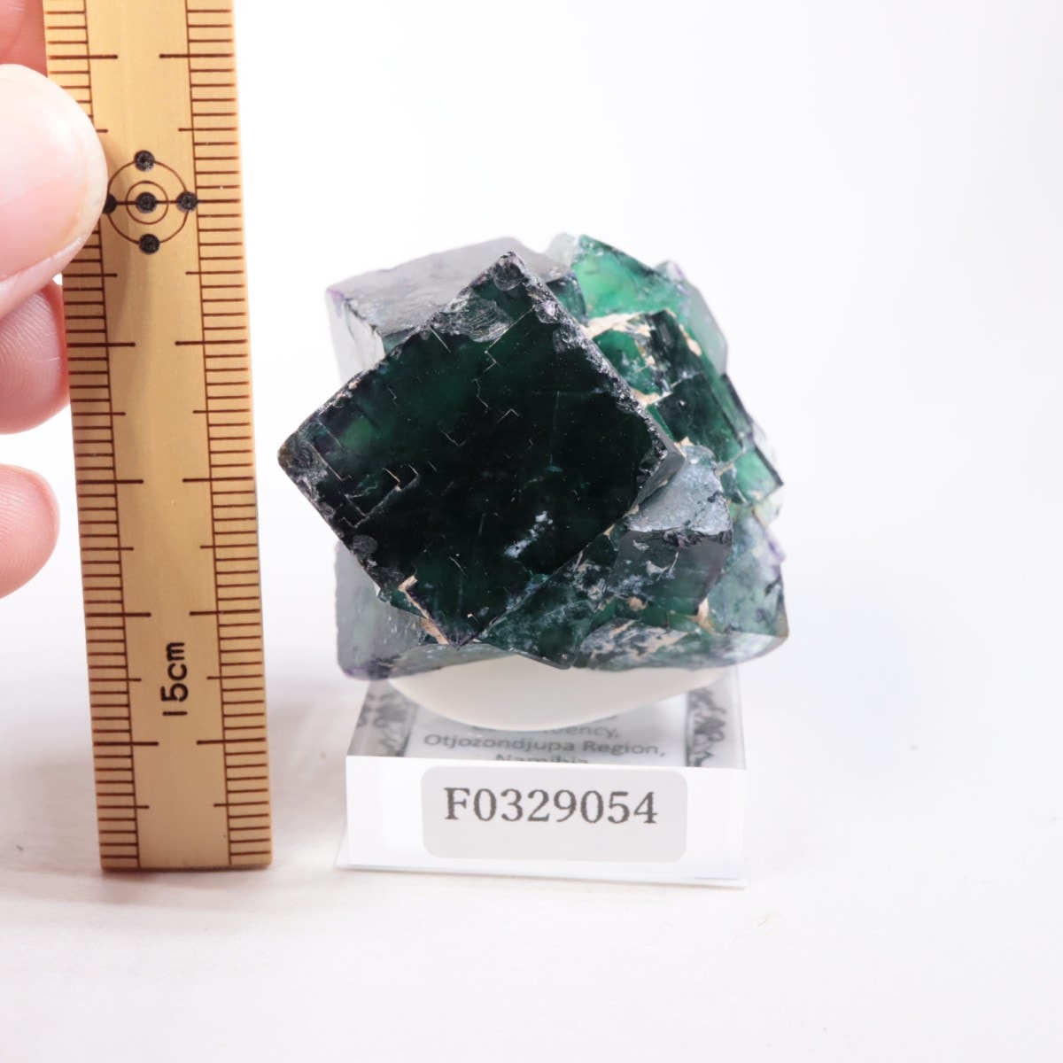 オコルス monday12oclock フローライト 鉱物標本 蛍石 オコルス鉱山産