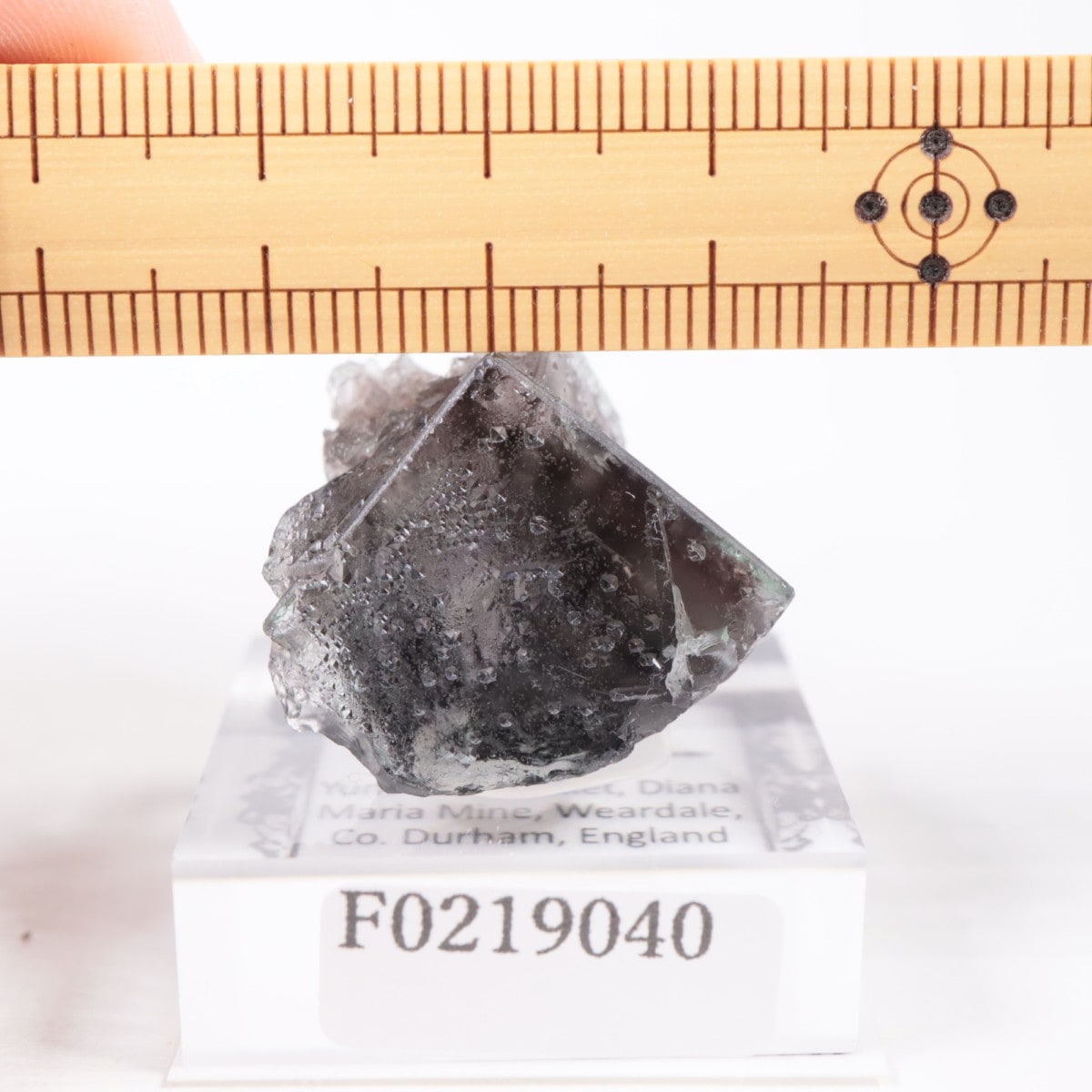 Yum Yum Pocket フローライト | 鉱物標本,ハ行,フローライト/蛍石