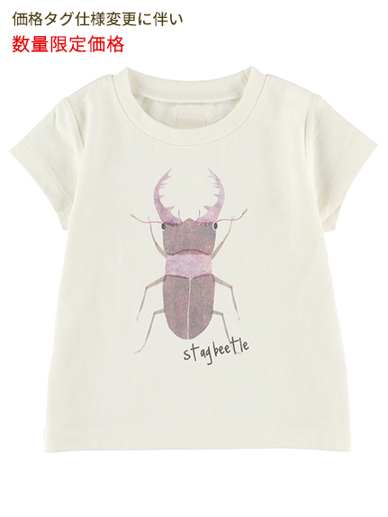 Sサイズ（85cm）のみ くわがたくんプリントTシャツ ホワイト キッズ