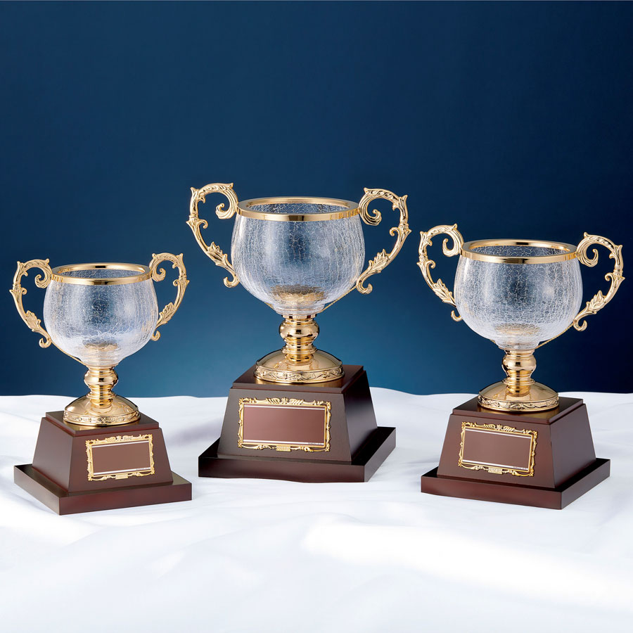 人見友紀 伝説の逃亡画家 美術画報大賞 クリスタルトロフィー 人見友紀