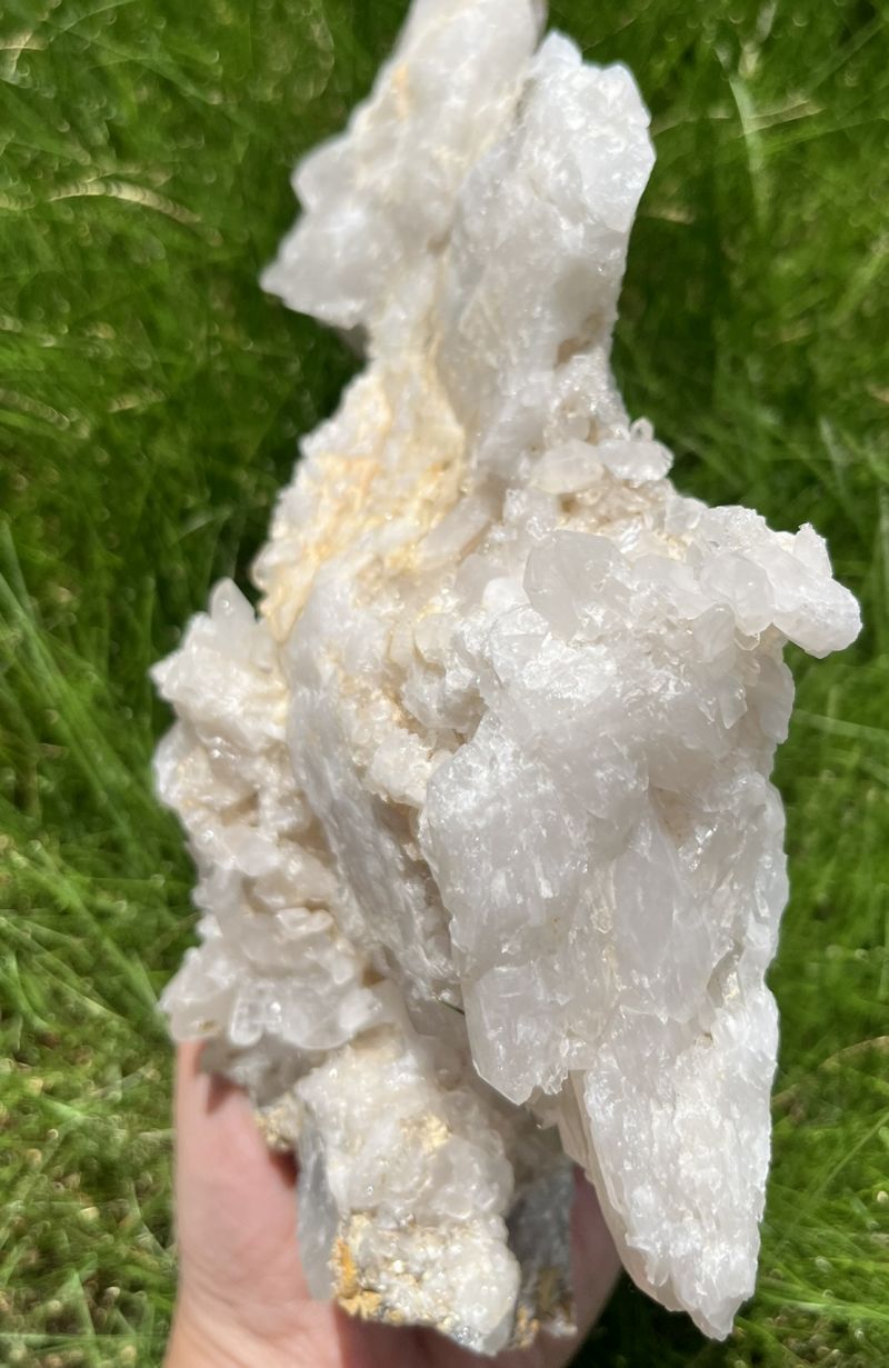 MGM【オールドストック・証明書あり】メロディ グリーン マイン MGM