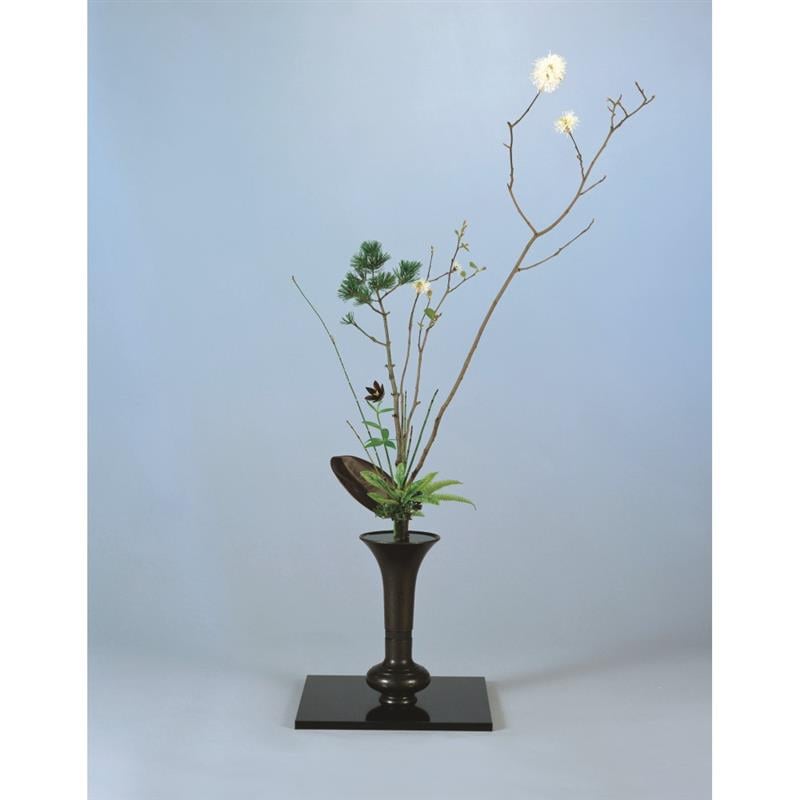 屋久杉 壺＆台座