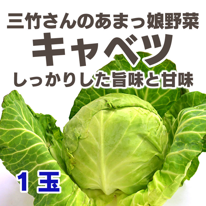 キャベツ - 三竹さんのあまっ娘キャベツ 1玉[愛知] | 野菜 | | 農家の