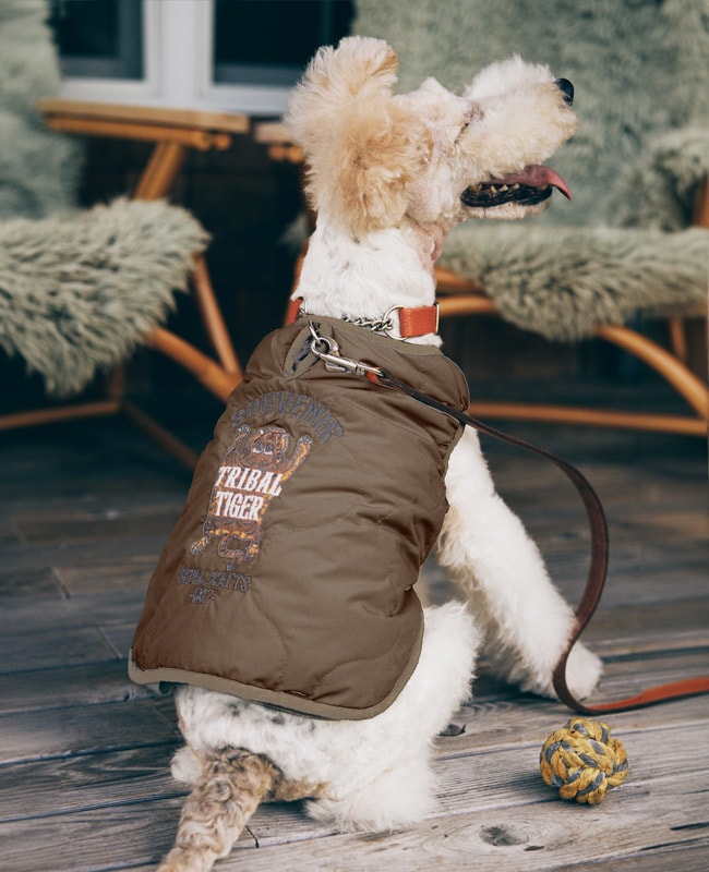 クリフメイヤー[公式] スーベニア刺繍キルトJK DOG 2415116D | DOG