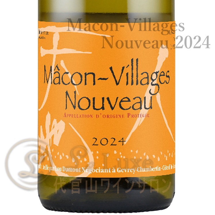 2024 マコン ヴィラージュ ヌーヴォー ルー デュモン 正規品 白ワイン