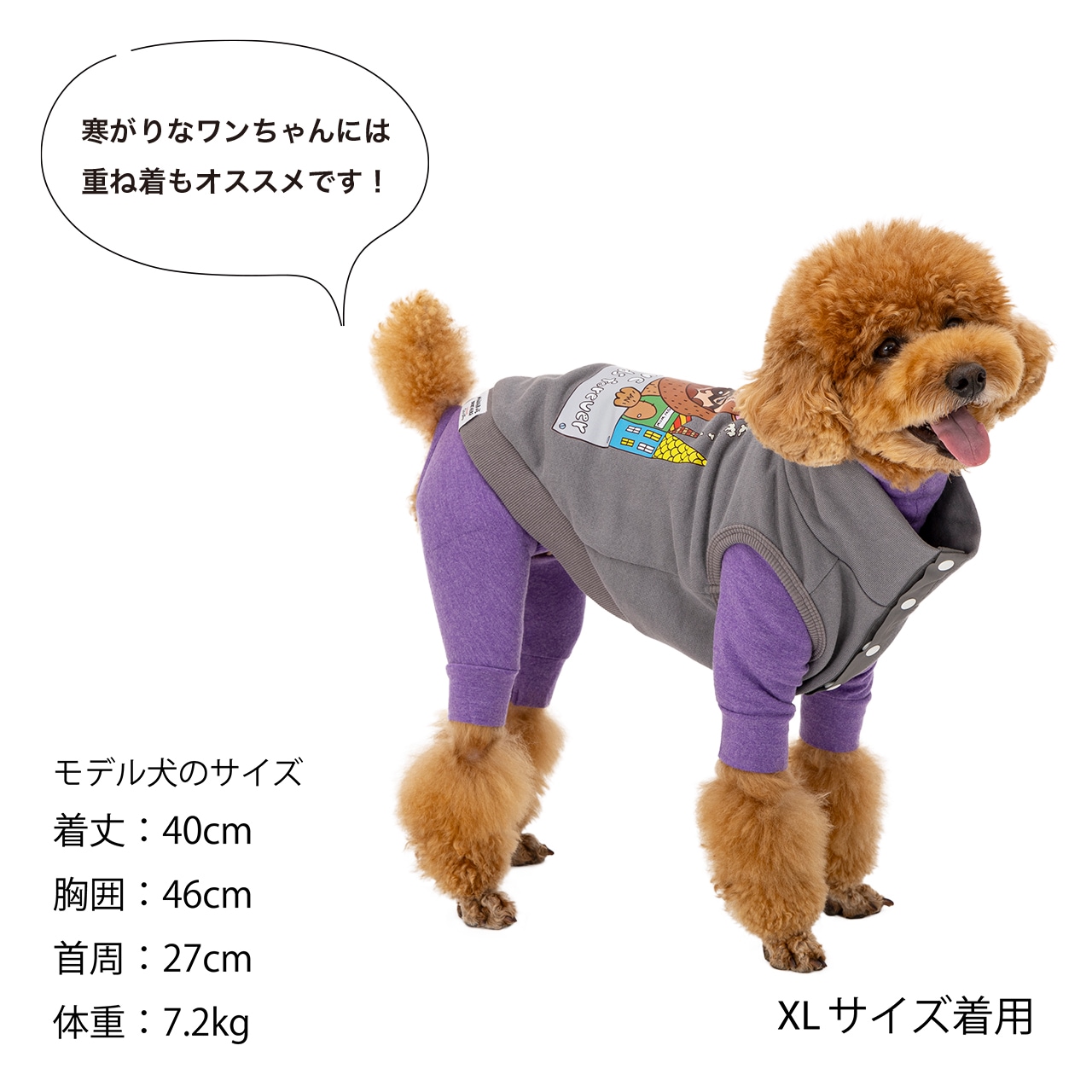 Chi-bee SNAP VEST | WEAR | 犬服 MANDARINE BROTHERS マンダリン