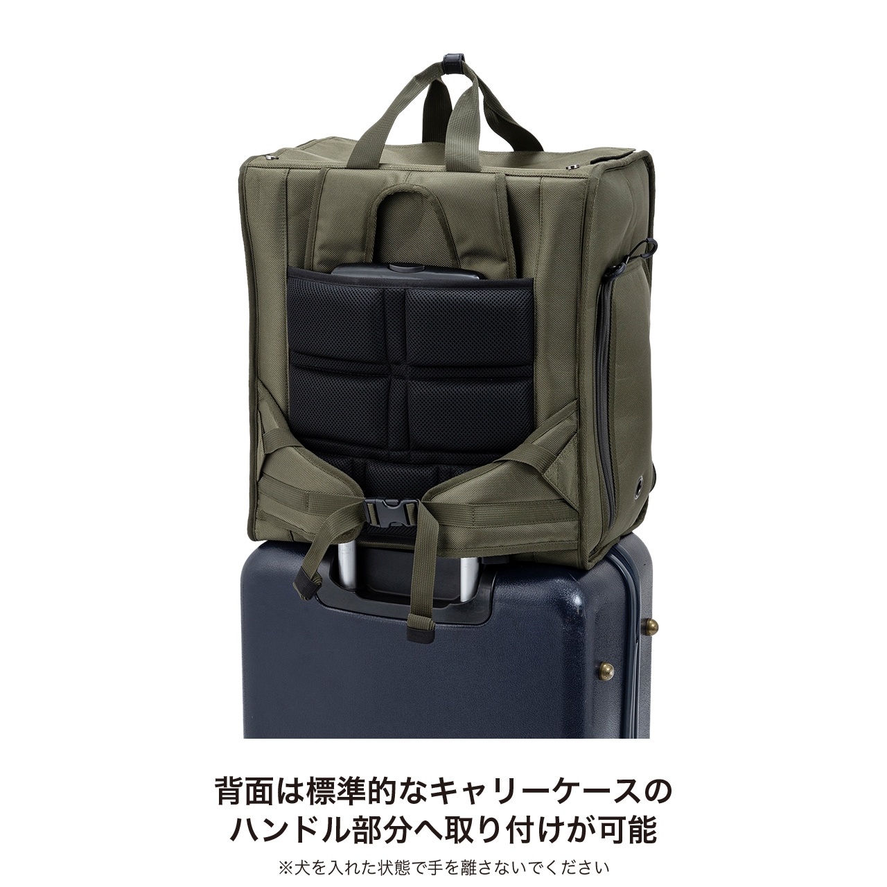 BRIXTON CARRY BACKPACK | CARRY BAG | 犬服 MANDARINE BROTHERS