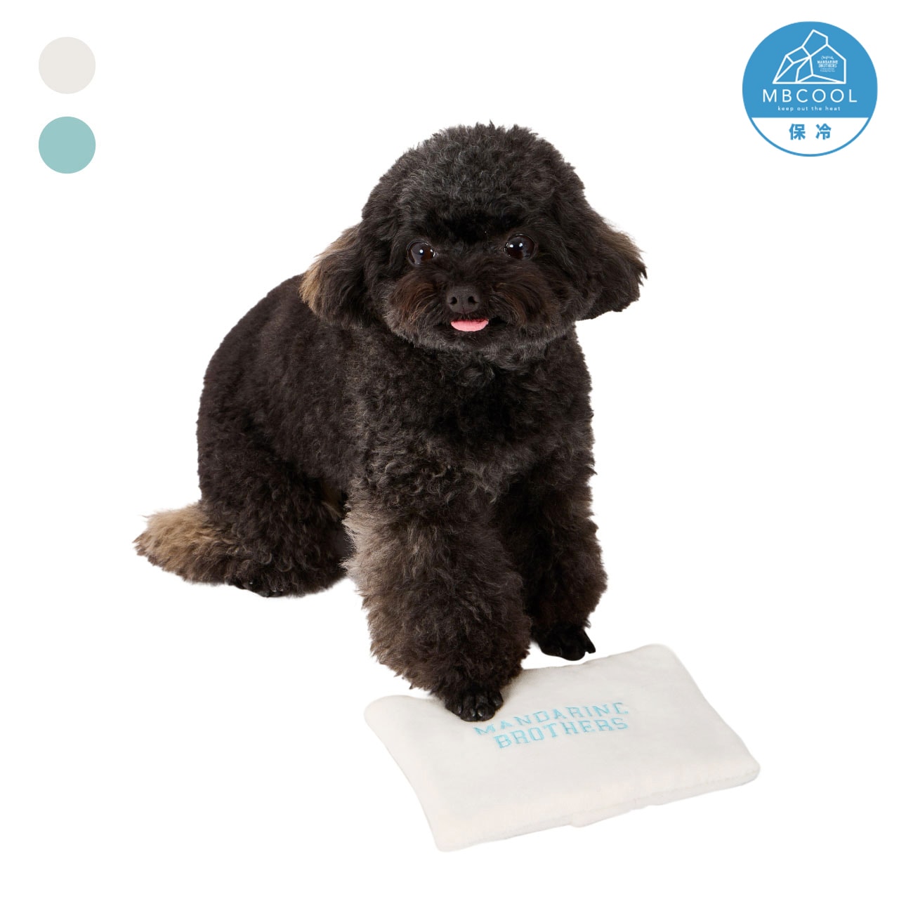 犬服・アクセサリー AIR LINER + POCKET SET COSMIC 4L AIR LINER +