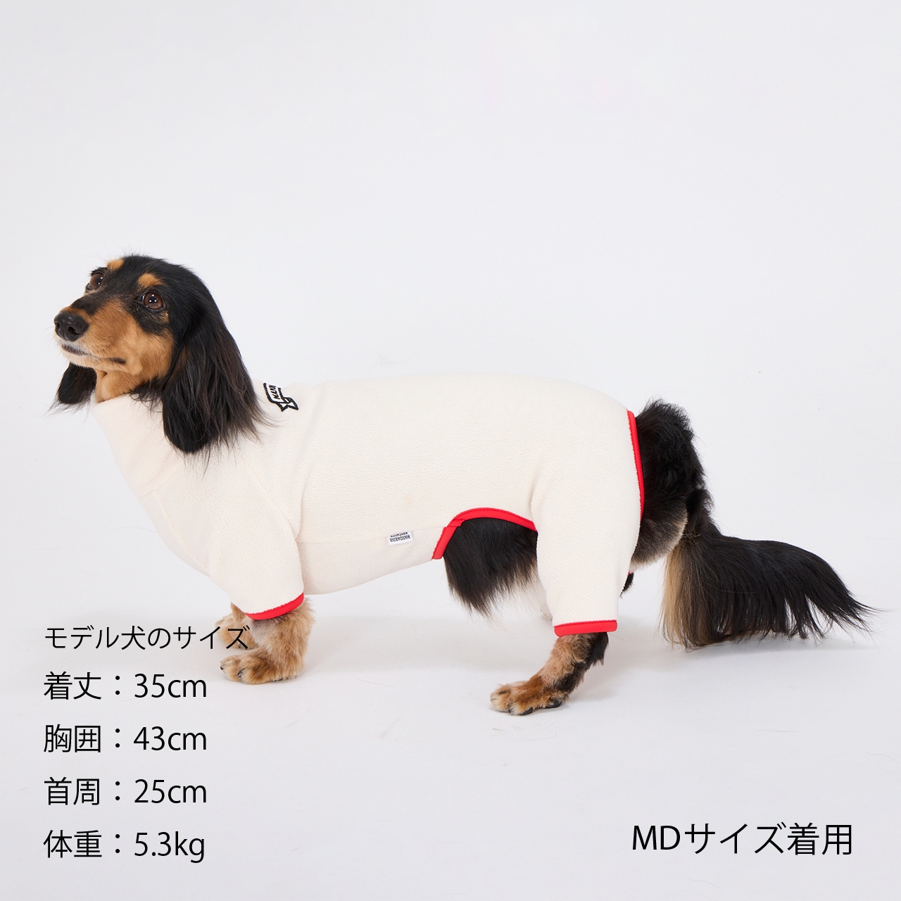 FRAME LOGO BOA SUIT | WEAR | 犬服 MANDARINE BROTHERS マンダリン