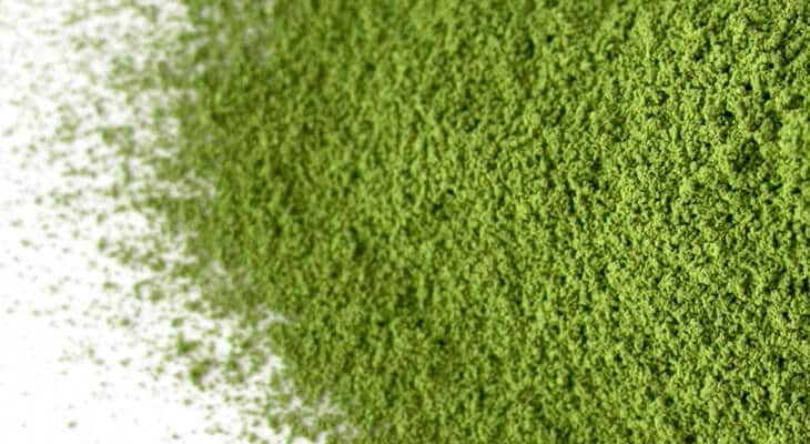 西条園抹茶さわ100g袋4個 西条園抹茶さわ100g袋4個