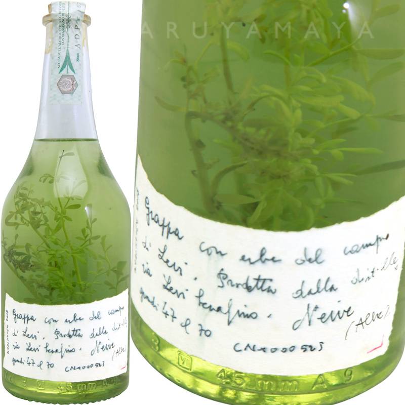 グラッパ （エルベ）【No.F】ロマーノ・レヴィ Romano Levi Grappa