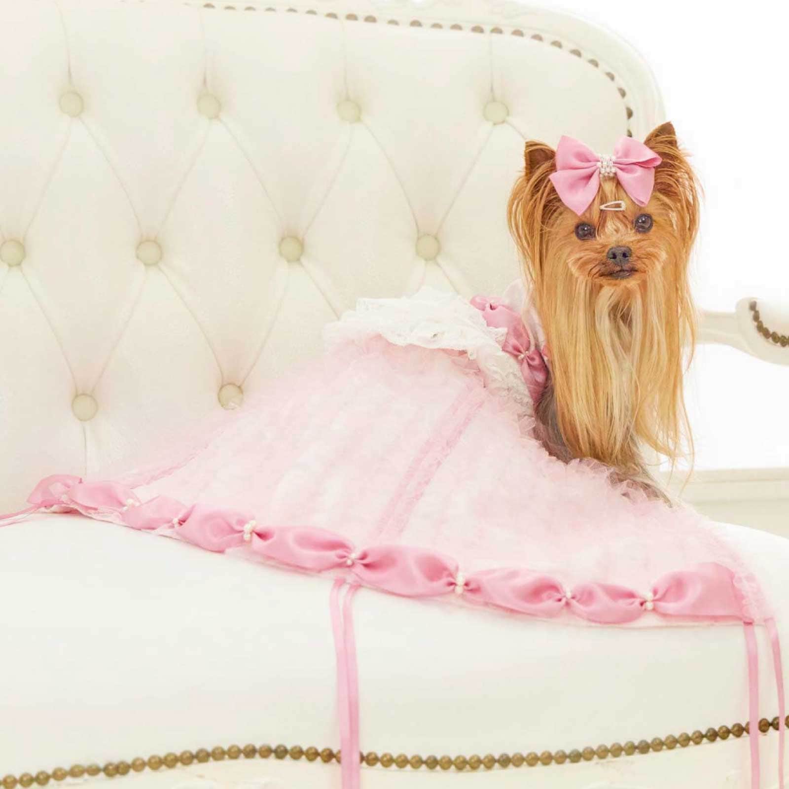 ミラクルドレープ ドッグドレス [2way dress] SS-L サイズ展開