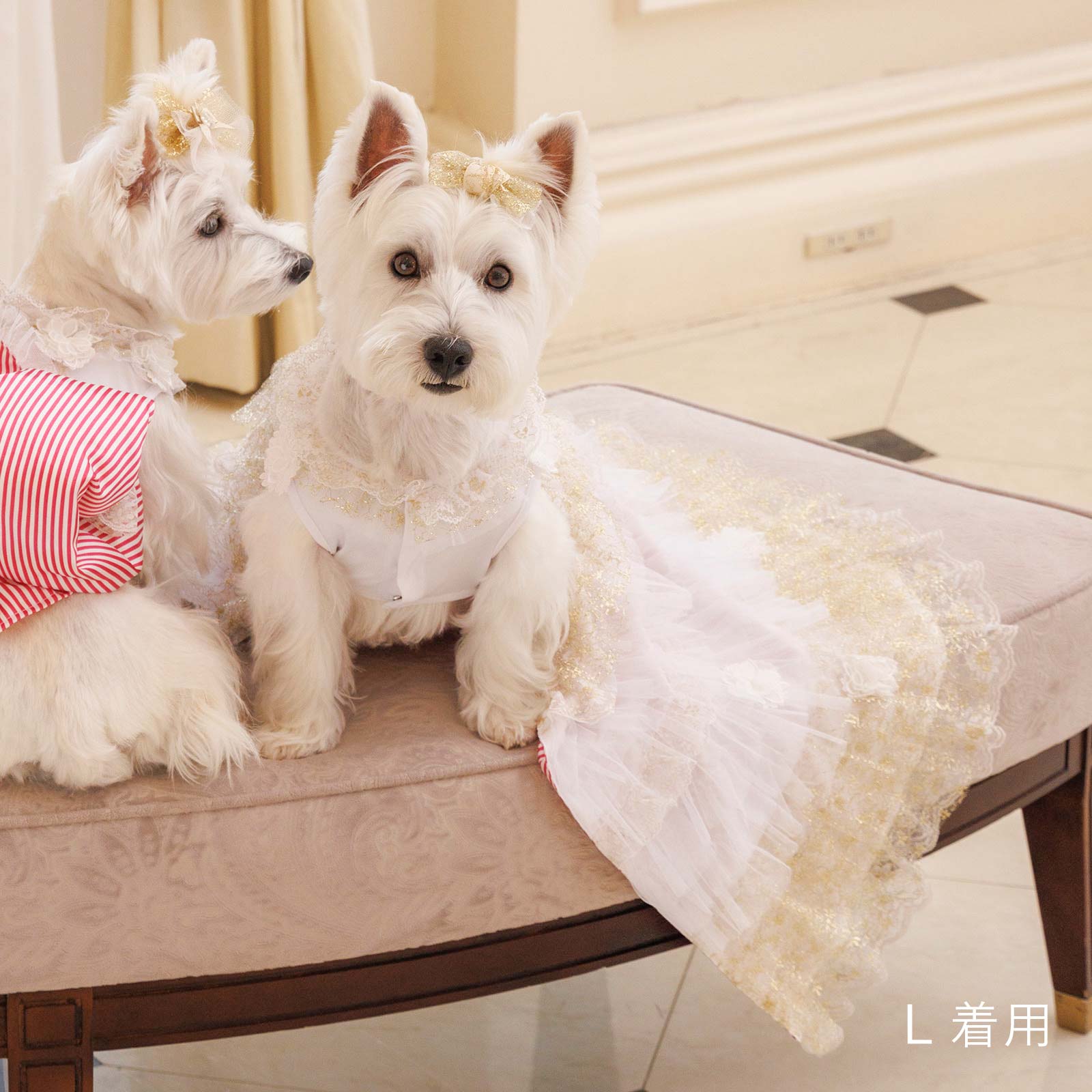 ミミーメリー ミラクルドレープ ドッグドレス [2way dress] ミラクル