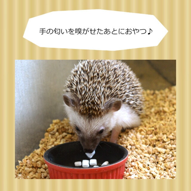 ゆうパケットOK はりねずみ用マシュマロ 20g おやつ フード エサ 餌