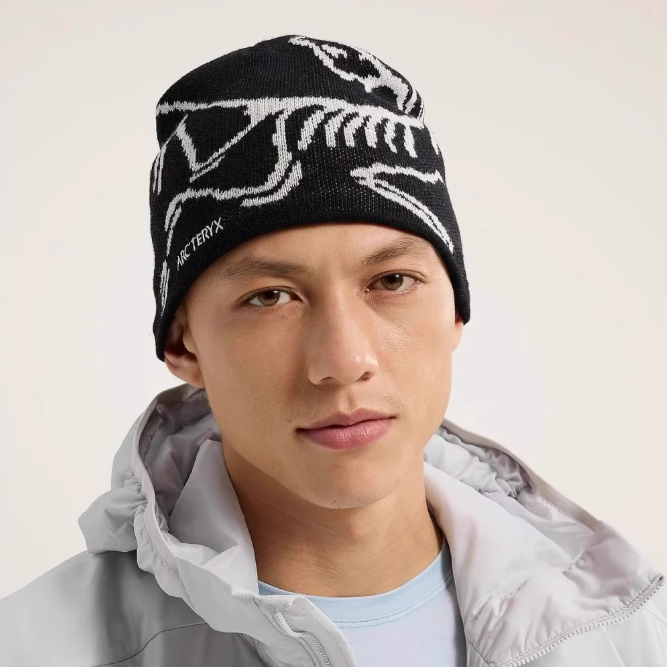 ARC'TERYX ニットキャップ ビーニー Bird Head Toque｜MIRISE(ミライズ