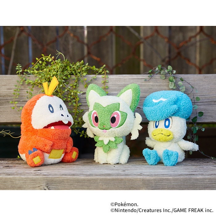 ポケモン ぬいぐるみ 75体セット クワッス もこもこぷち|【ぬいぐるみ