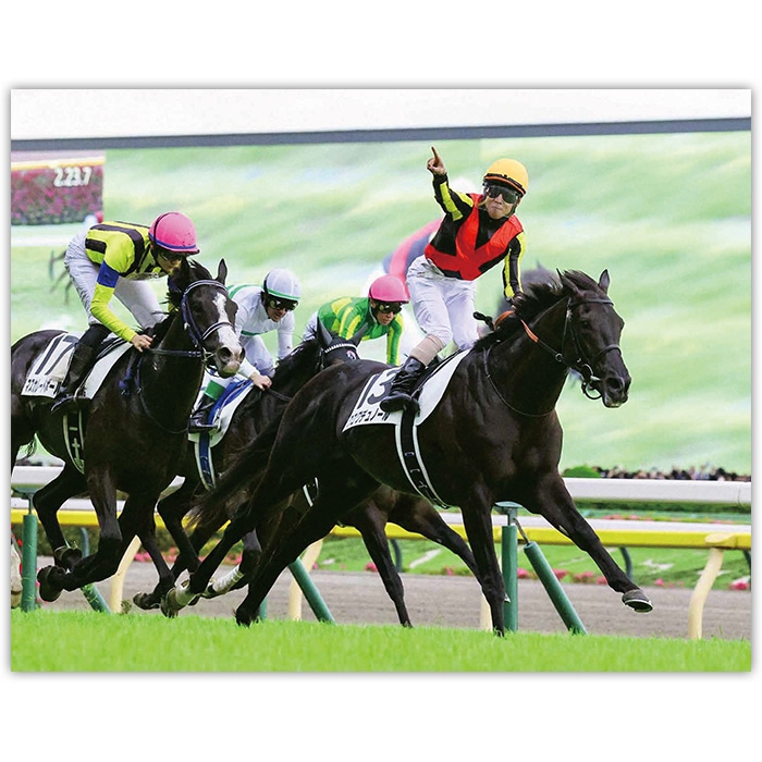 送料無料】2025年 日本ダービー 木製額入り写真 【半切（A3サイズ