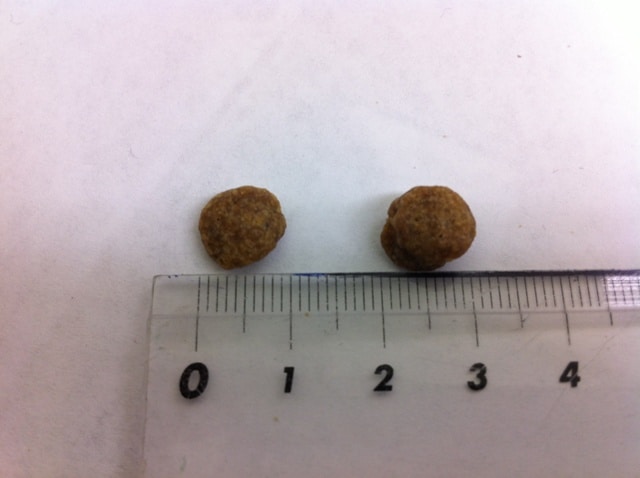 フィッシュ＆ポテト15kg NO.1 スーパーゴールド・フィッシュ＆ポテト