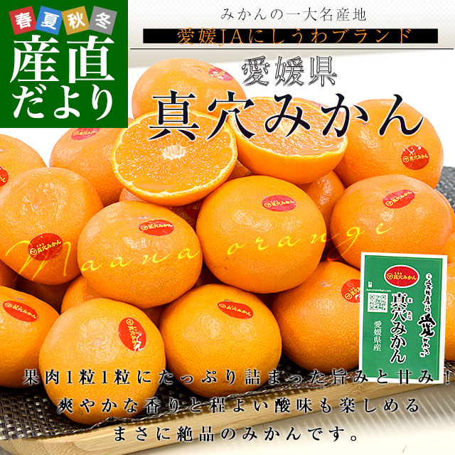 愛媛県 JAにしうわ 真穴みかん 3キロ以上2Lサイズ（21玉) 送料無料