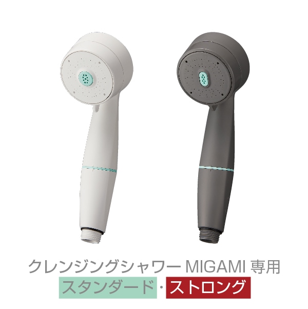 ザンビア産サソリカミキリ47mm