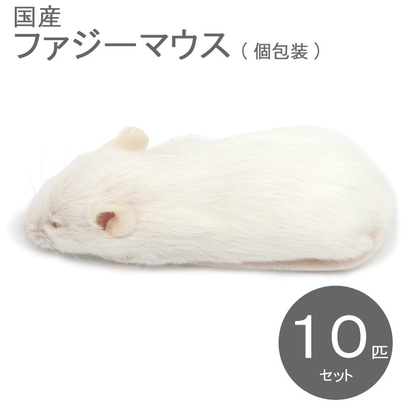 冷凍マウス ファジー 10匹 国産 SAfarm | 冷凍マウス,ファジー
