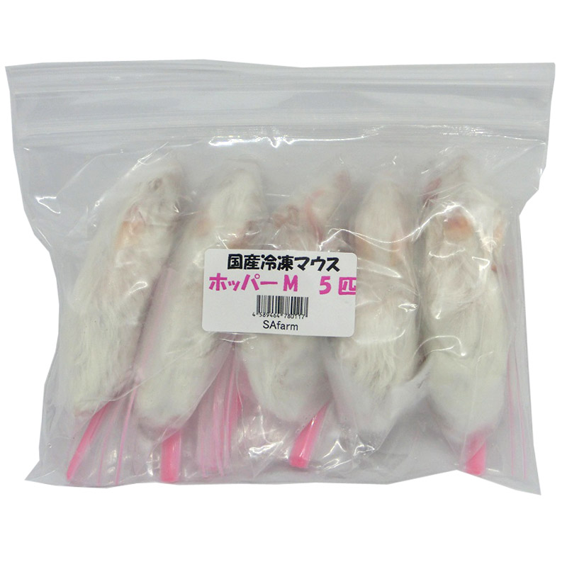 国産冷凍マウス ホッパー 100匹 送料無料（一部地域発送不可
