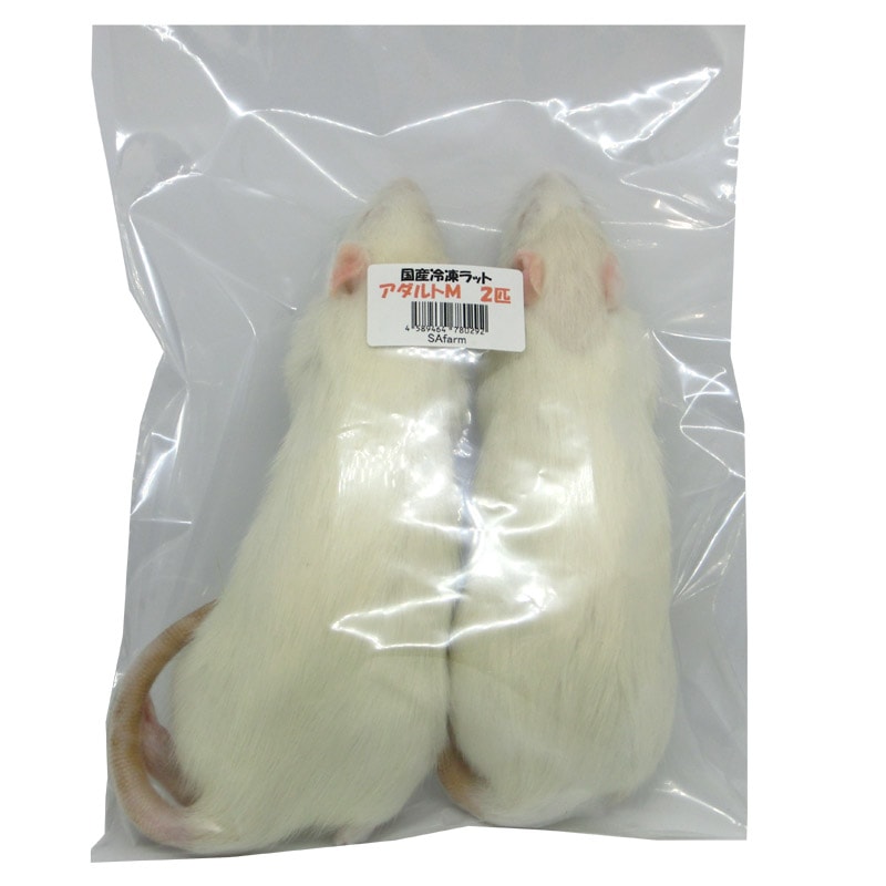 冷凍ラット アダルトM（100-120g） 50匹 4568bba8b206cc26c9882d5aaad0c1