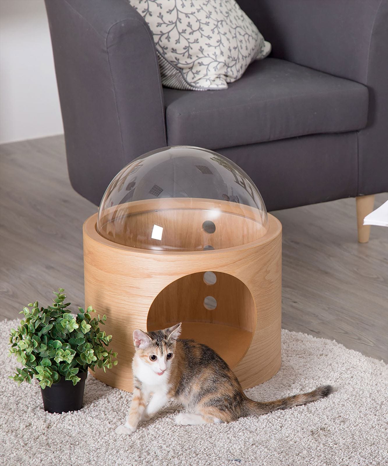 猫用 ベッド（ベージュ×ブラウン） ハンドメイド magoooz3 楽天市場