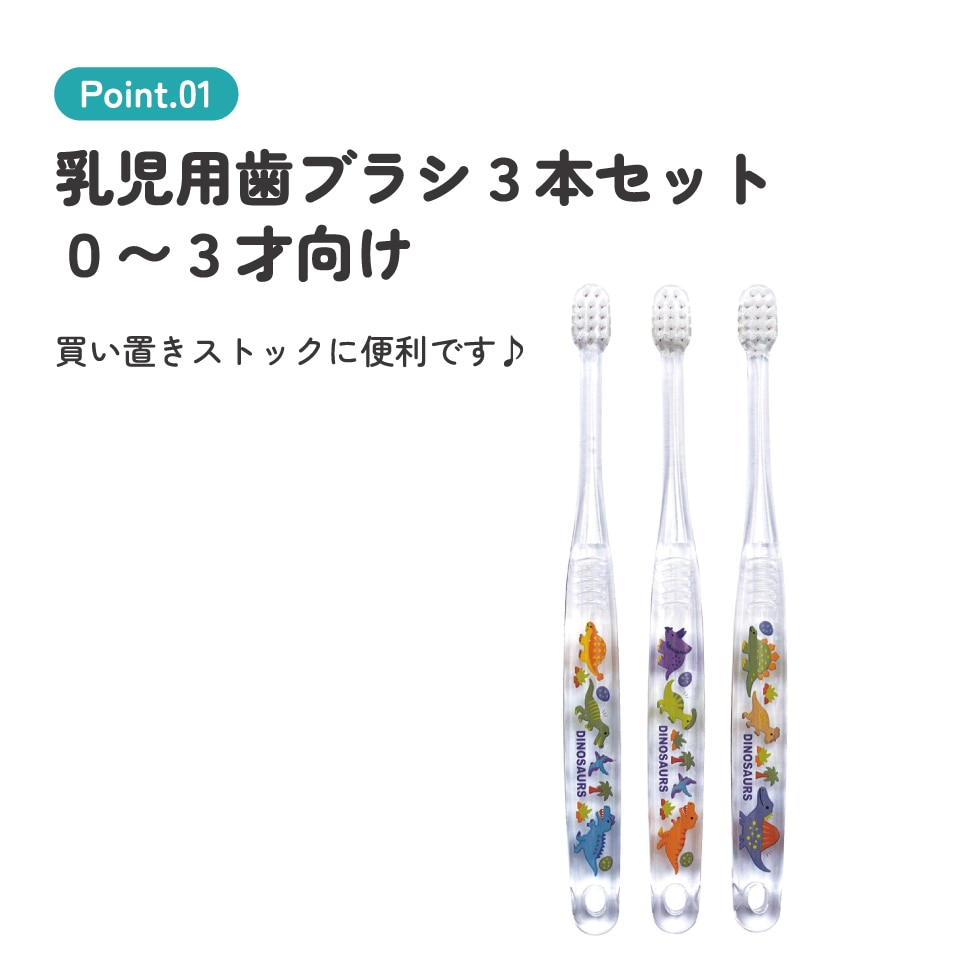 鯨の歯 鯨歯3本セット 鯨歯 鯨歯3本セット 鯨歯3本