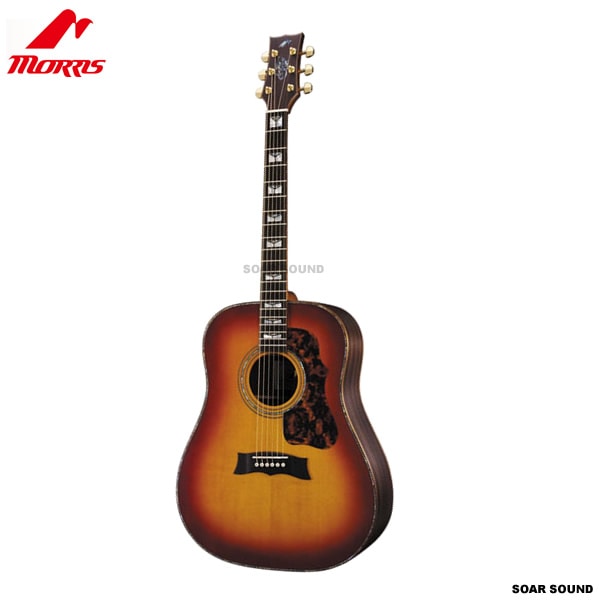 モーリス アコースティックギター MG-301 調整済み ストリート 部活