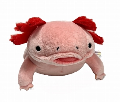 もちうぱ ピンク（mini） | サンシャイン水族館 online shop