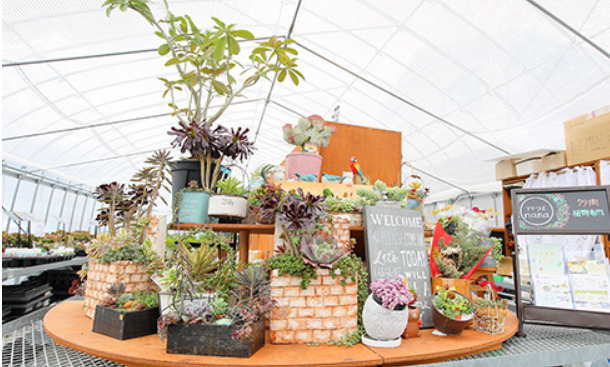 静岡県の人気園芸店15選！】おすすめの大型ガーデニング用品店舗一覧