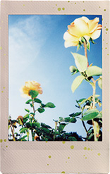 チェキ専用フィルム 絵柄入りフレームタイプ (SOFT GLITTER) | フジ