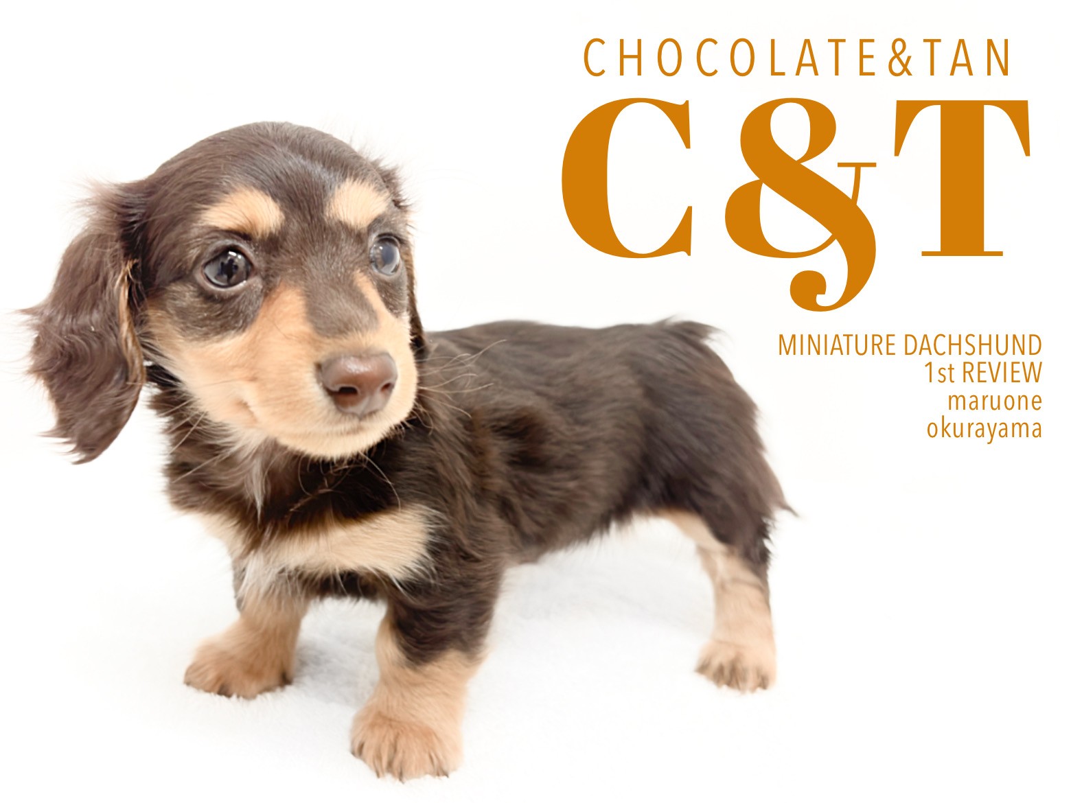 5e7774cbdbf34aca3aa752f8671e7a