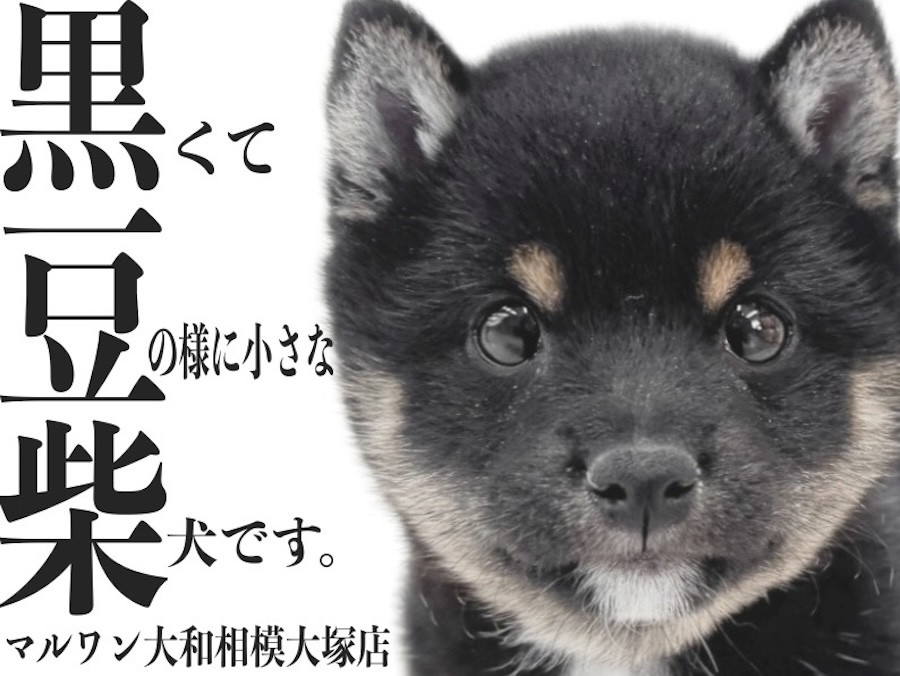 720e0b50b478bdcdf55cb9ff6243fa