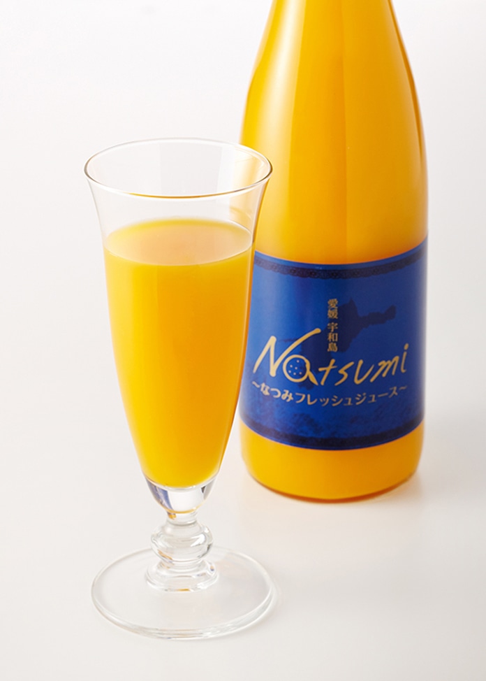 愛媛県産なつみジュース 720ml 12本セット 愛媛県産なつみジュース