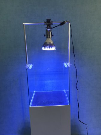 プロ推薦】水槽用ライトスタンドおすすめ10選！種類・選び方・注意点