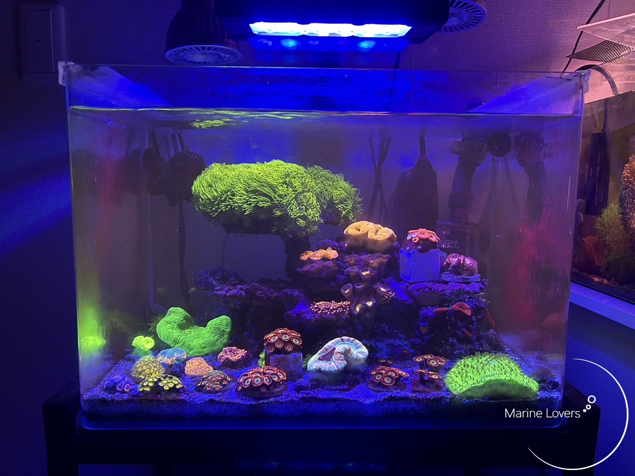 レビュー】オプティマス リーフナノ2は超スタイリッシュで超高性能