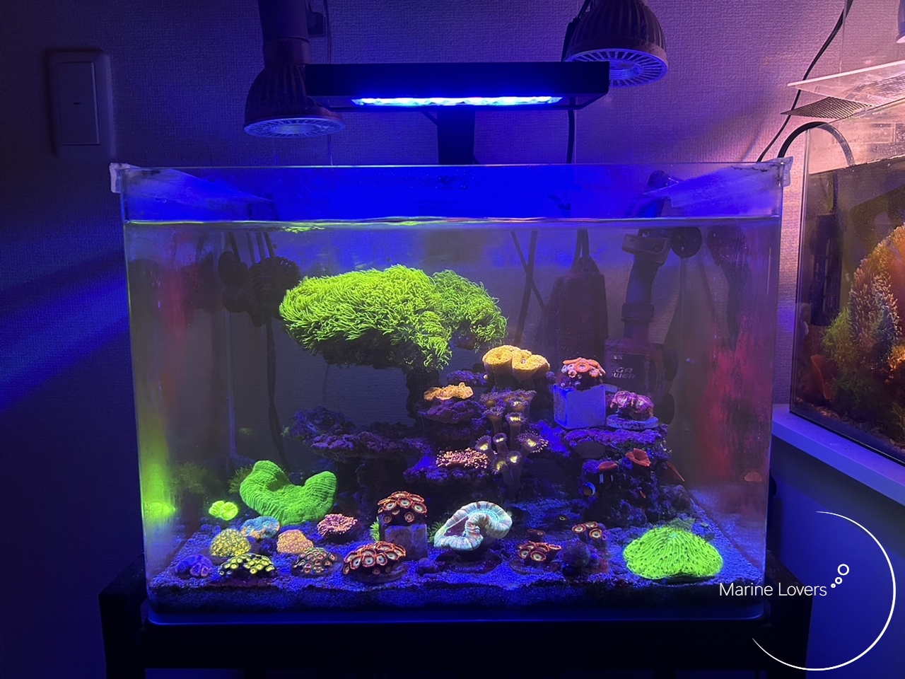 ZOOX Reef Nano2 LED水槽ライト