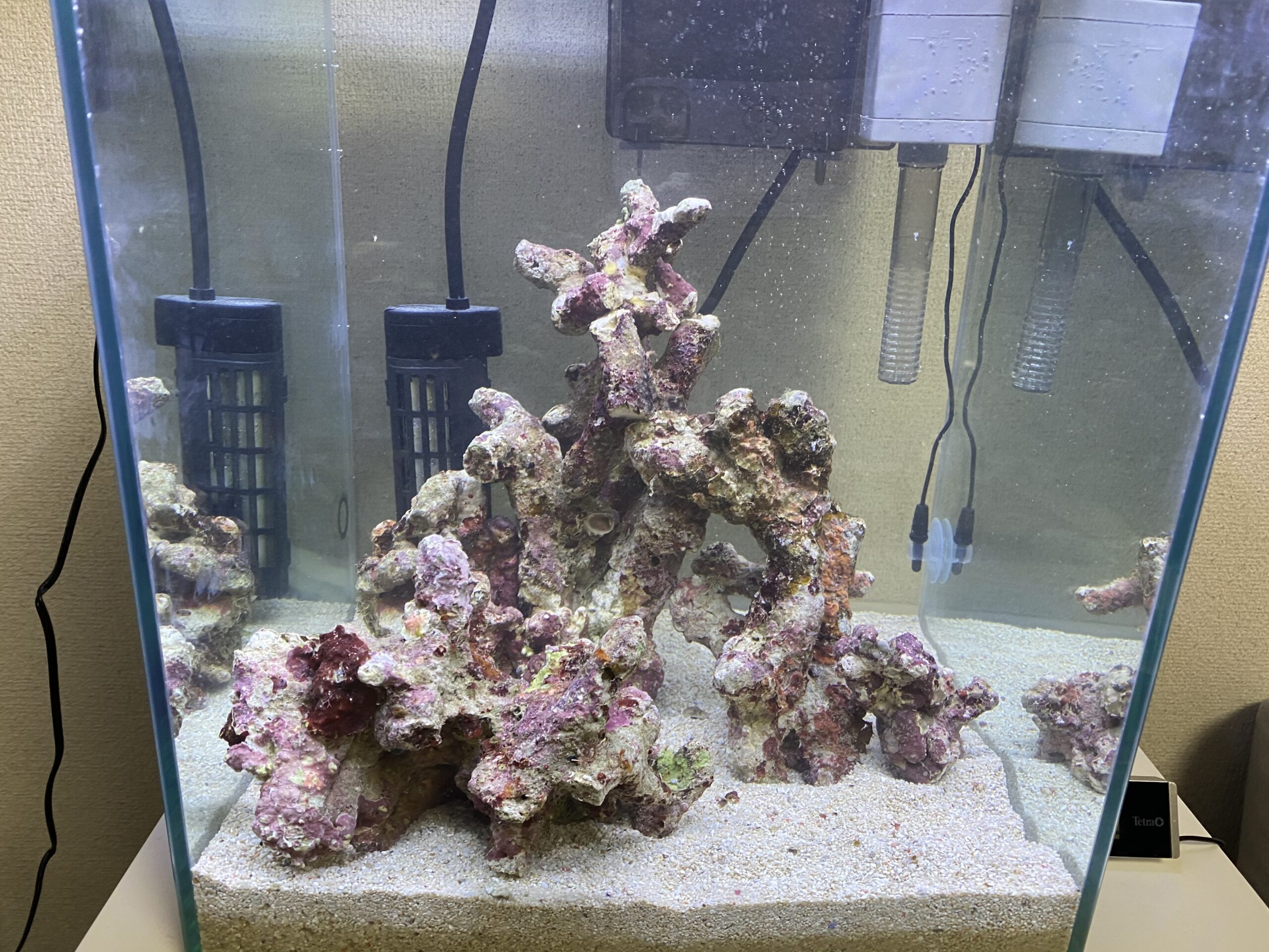 人工ライブロック 60cm海水水槽用 レプリカ 多孔質 レッドシー 60cm