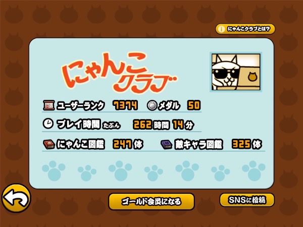 にゃんこマーケット にゃんこマーケット にゃん子 ⭐︎にゃこ