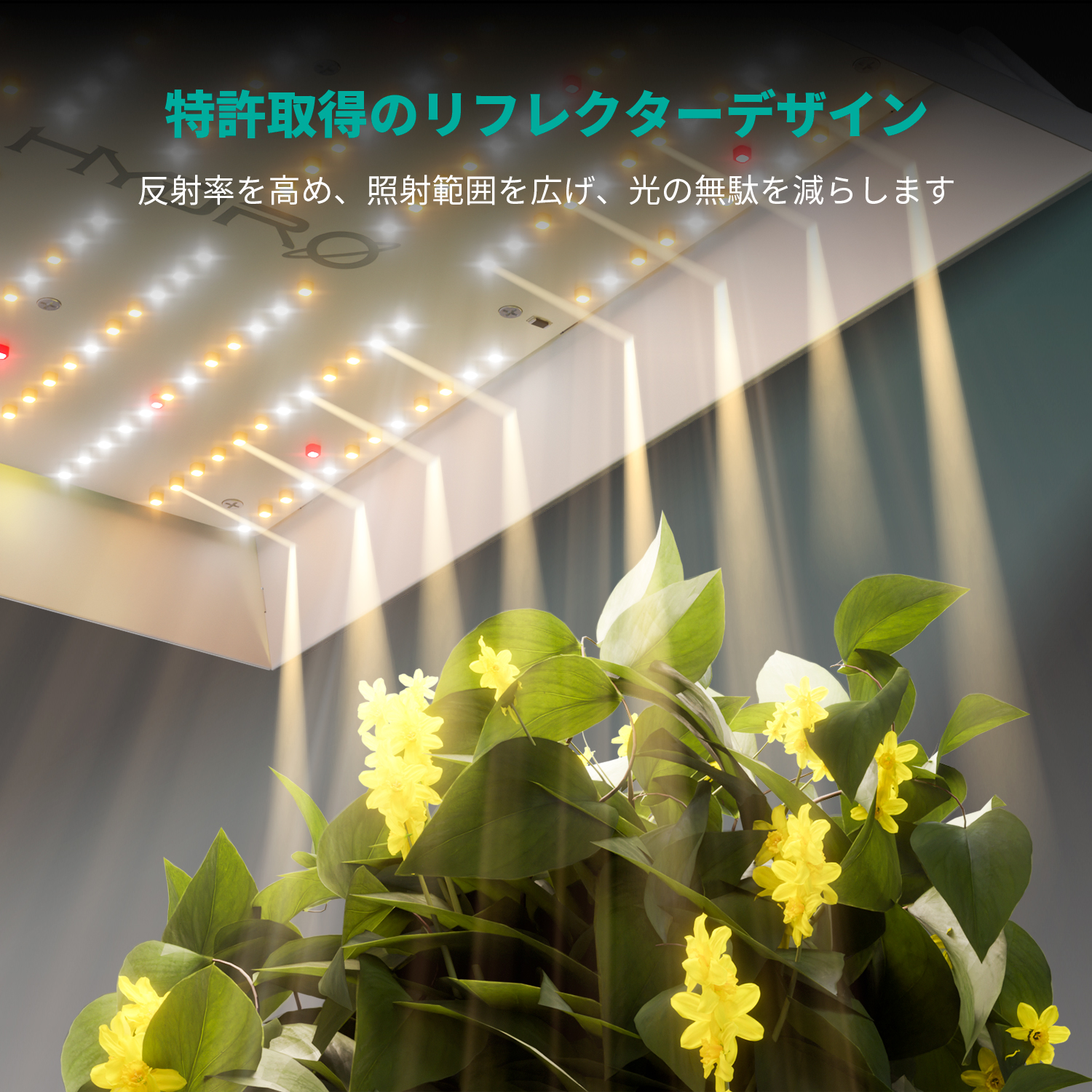 TS 3000 420W 植物育成LEDライト 範囲150x150CM - Mars Hydro JP