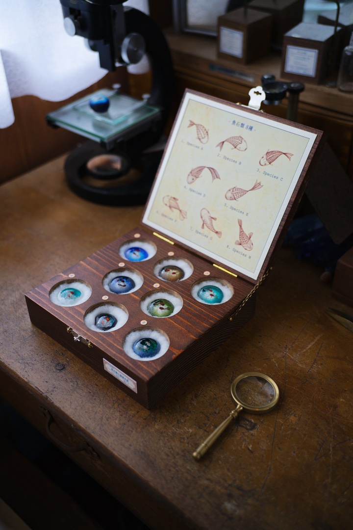 魚石類八種標本箱」Glass2H | 彩元堂：増永元 official site