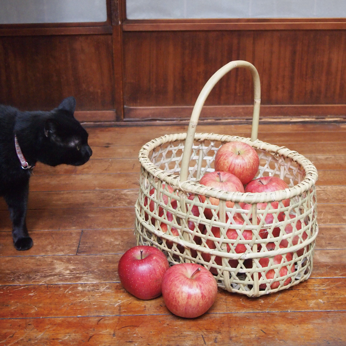 青森 根曲竹 竹かご 竹細工 りんごかご 松野屋 楽天市場】【松野屋 根曲竹