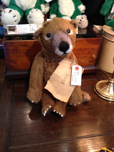 ○金井二一奈さん テディベア 金井二一奈【モリゾー 中】 | 清里高原