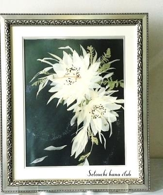 月下美人 押し花 額縁入り 押し花アート 汚れあり 月下美人 押し花