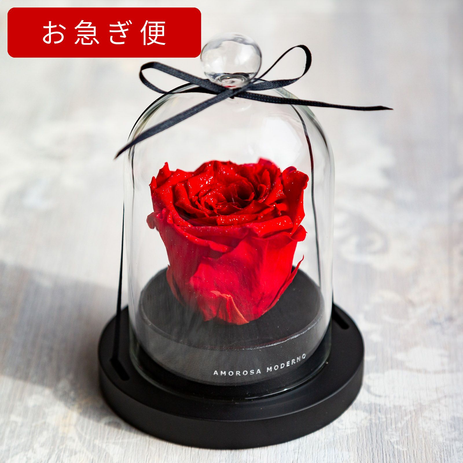 最短当日出荷！リトルベル/エクセレントブルー【お急ぎ便】